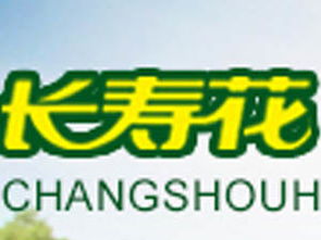 長壽花特級初榨橄欖油750ml箱裝加盟批發(fā)指南